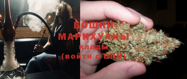 ПСИЛОЦИБИНОВЫЕ ГРИБЫ Пенза